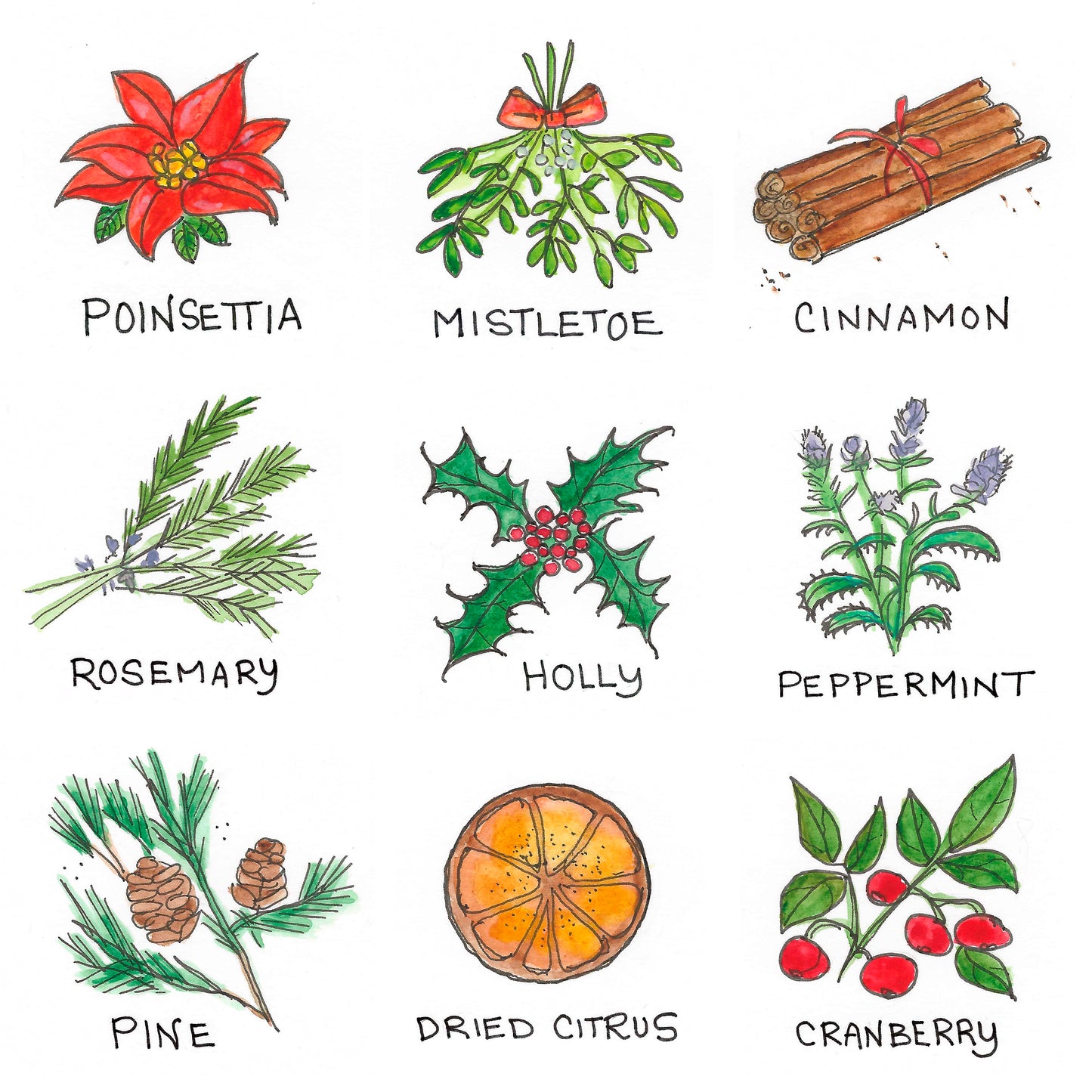 "Yuletide Plants & Herbs" Holiday Card