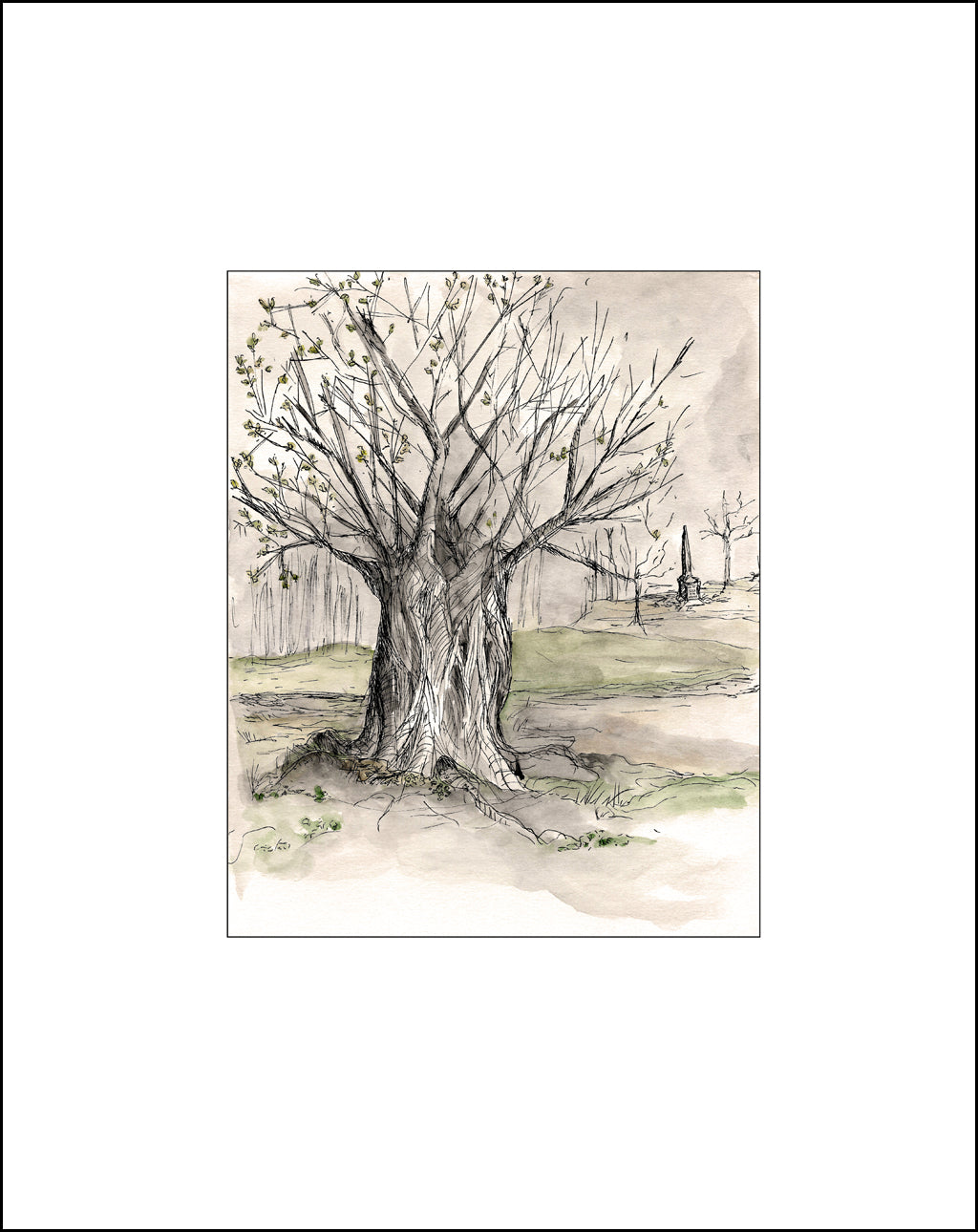 "Who Put Bella in the Witch Elm"